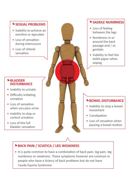 new-cesa-dl-back-21-5-13