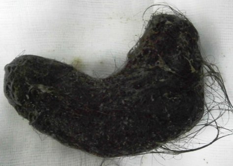 b4e751de-ab46-4eef-b3bc-e8f97541cf9d