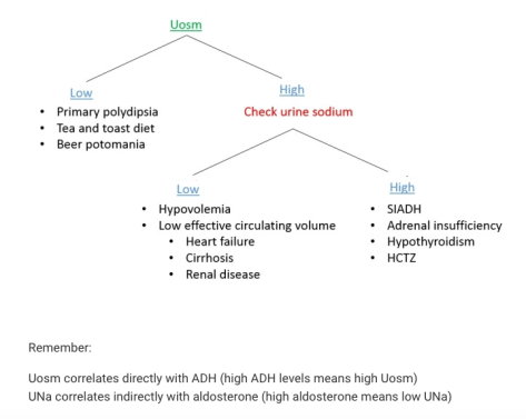 Screen Shot 2017-09-11 at 8.12.05 PM