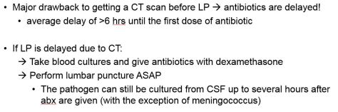 Meningitis6