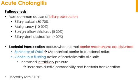 Cholangitis1