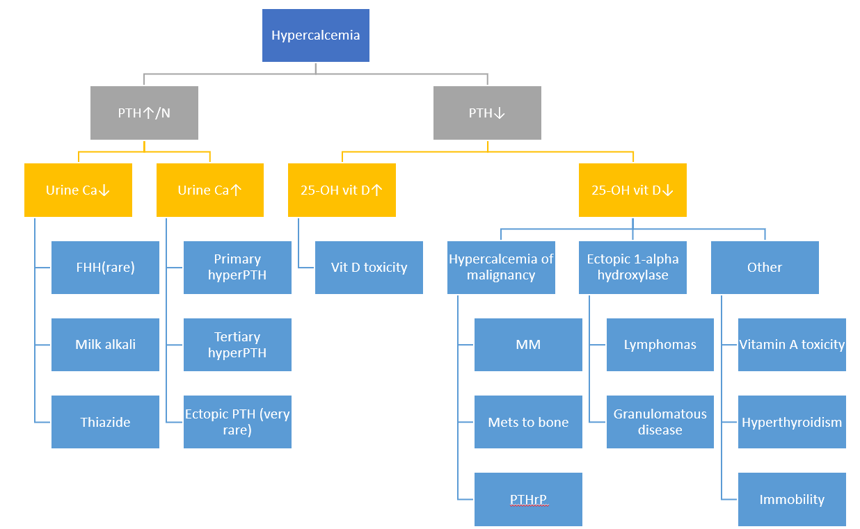 Hypercalcemia algorithm