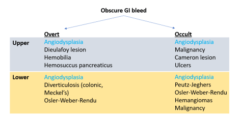 Obscure GI bleed breakdown