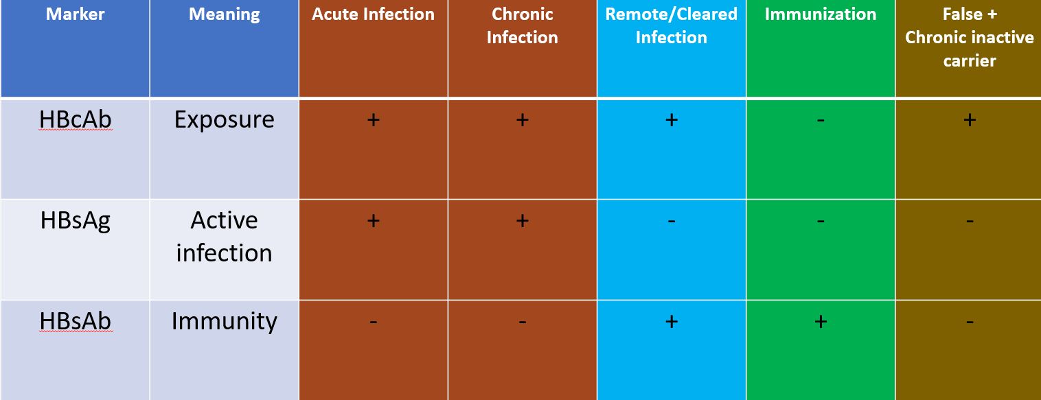 AST/ALT in thousands… Acute Hepatitis A! 3/12/2019 | SCVMC IM Chief ...